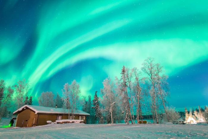 威廉姆斯上,海首演瞬间,登场,Bet365中文,中文平台,体育博彩,在线娱乐,体育投注,体育赛事